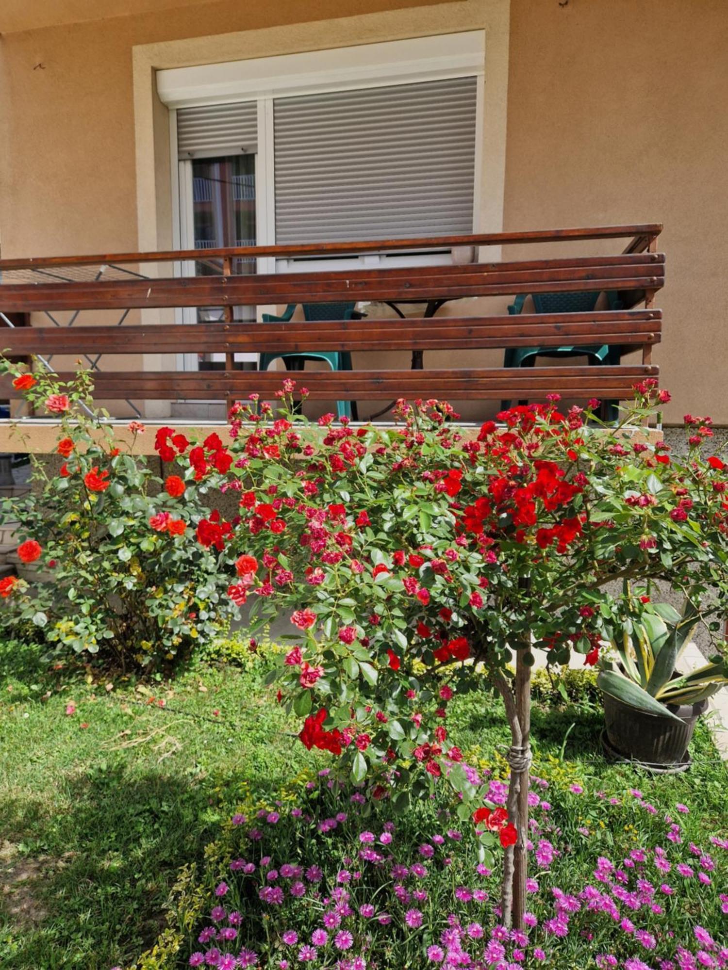טוזלה Guesthouse Irac מראה חיצוני תמונה
